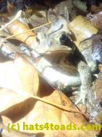 /home//u458753944/public_html/sourcegallery//McKaig Nature Center/2024-09-27/P9271603.JPG